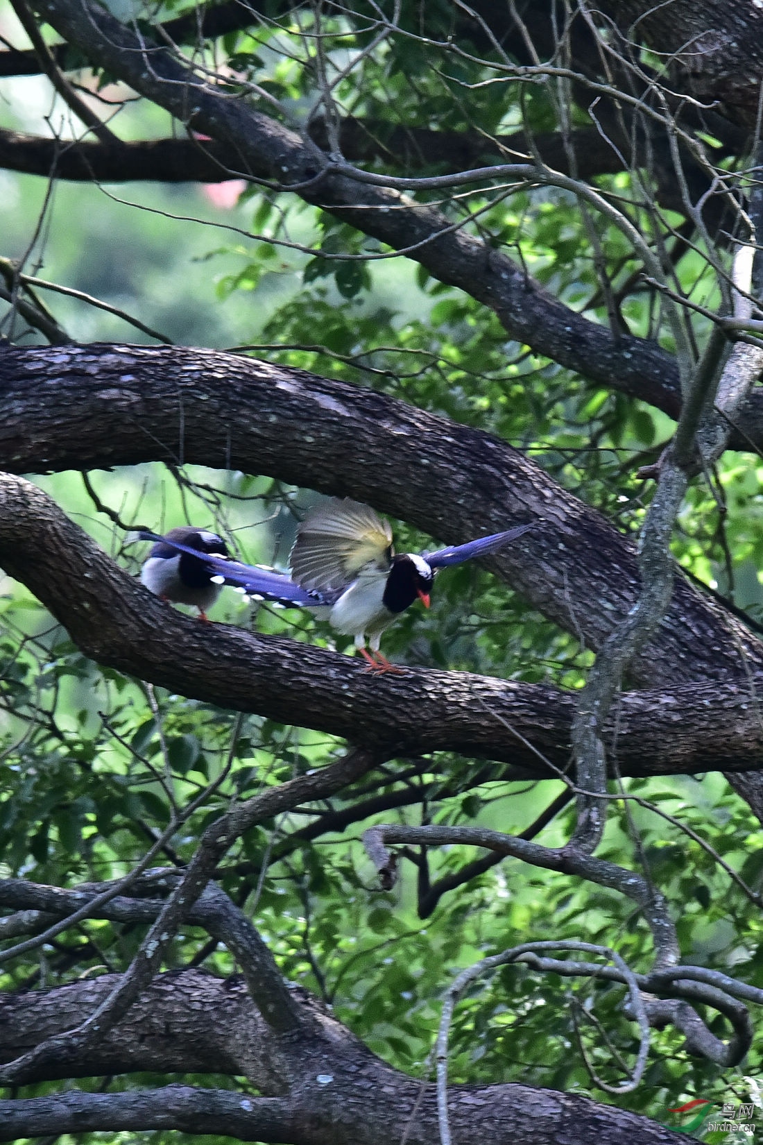DSC_0006.JPG