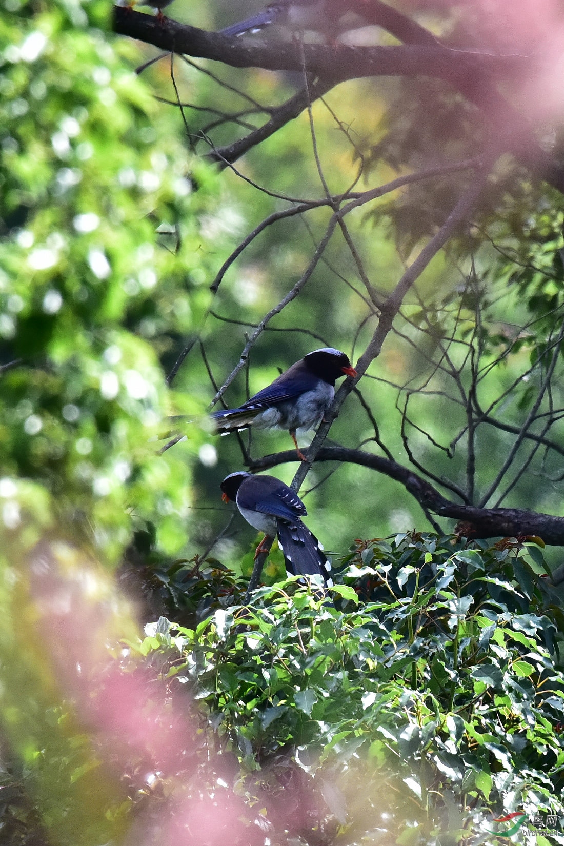 DSC_0018.JPG