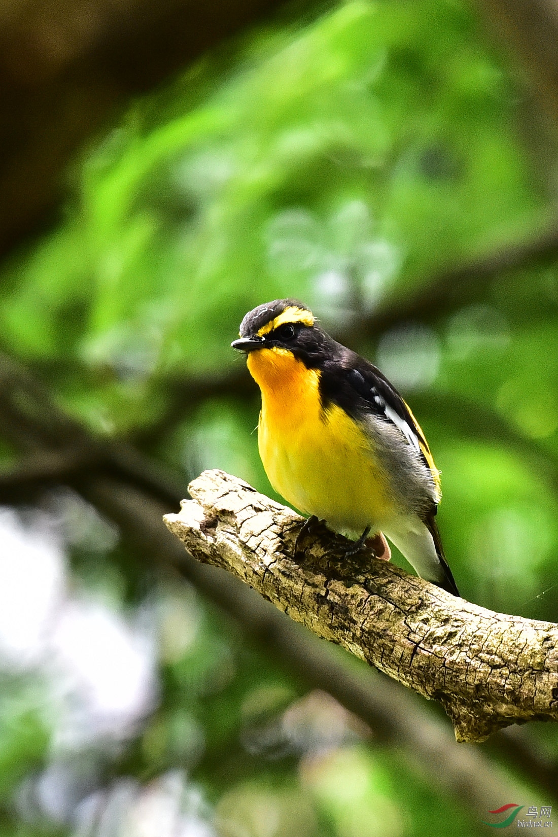 DSC_0785.JPG