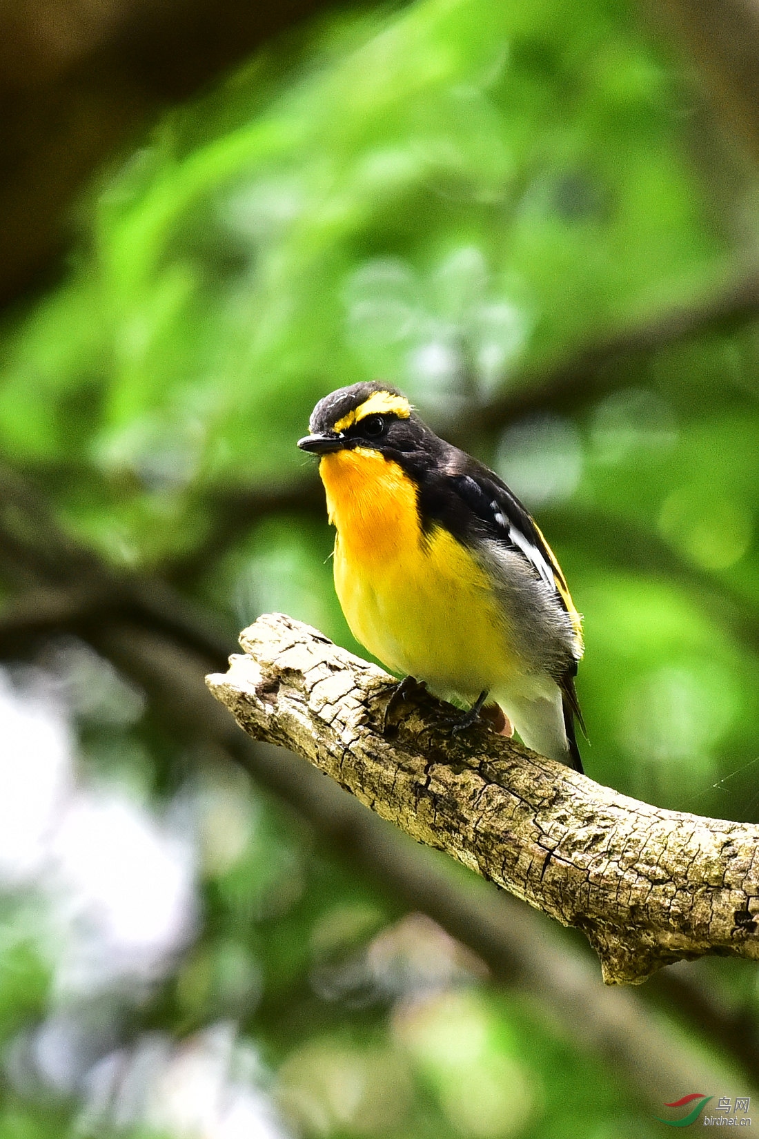 DSC_0786.JPG