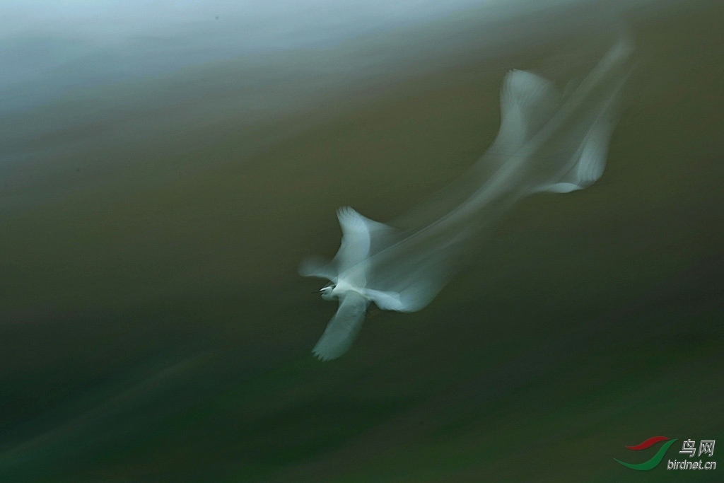 DSC_7670a.jpg