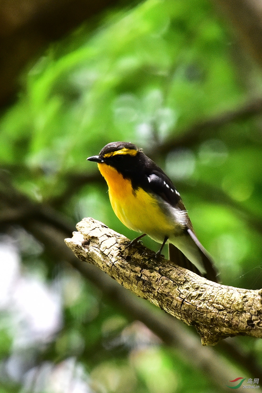 DSC_0787.JPG