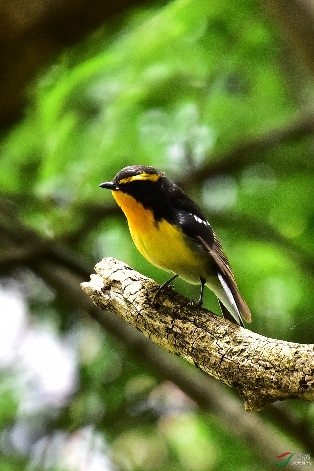 DSC_0788.JPG