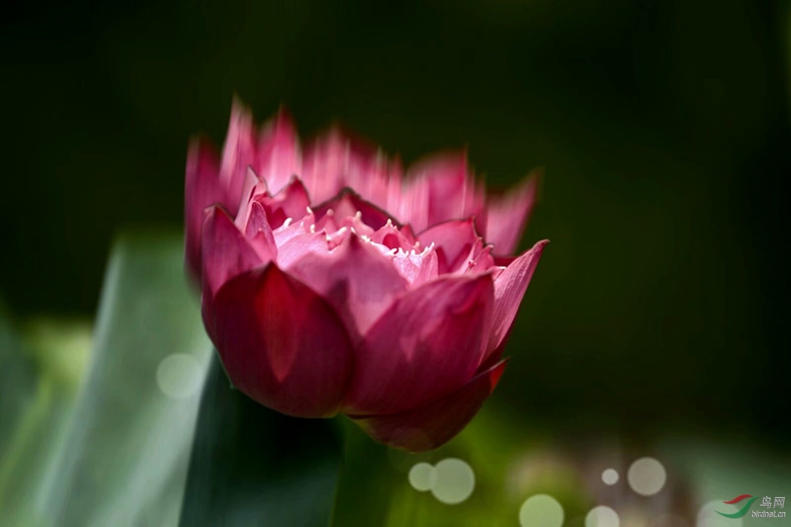 272D1088-8BE7-4AD2-8920-29B78028B8E2.jpeg