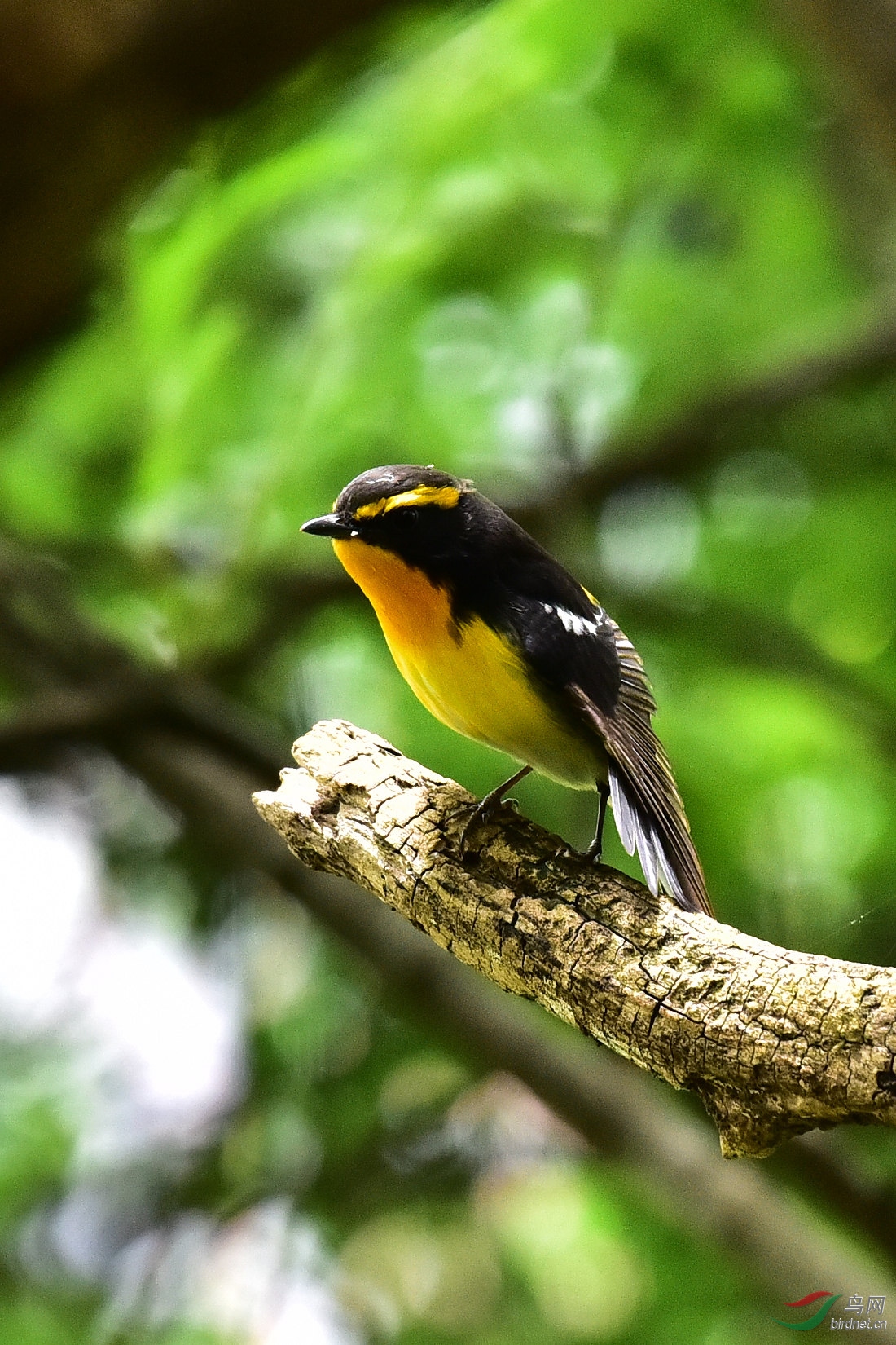 DSC_0789.JPG