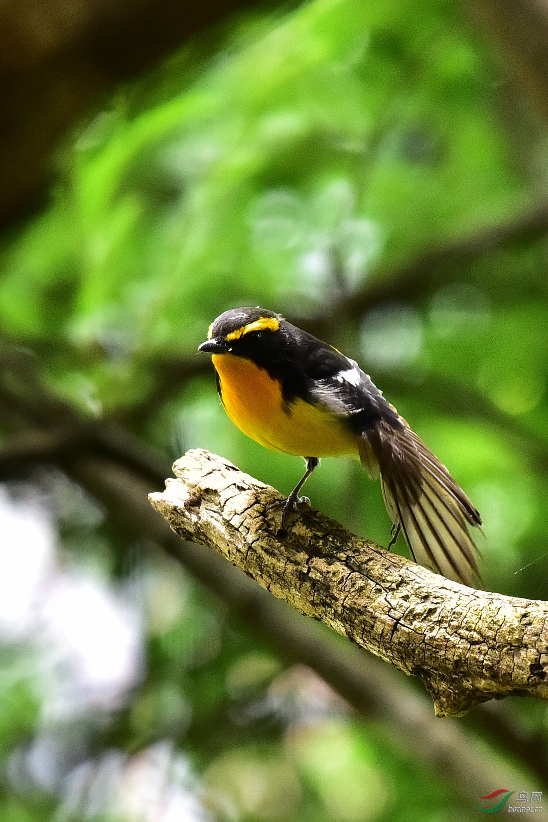 DSC_0793.JPG