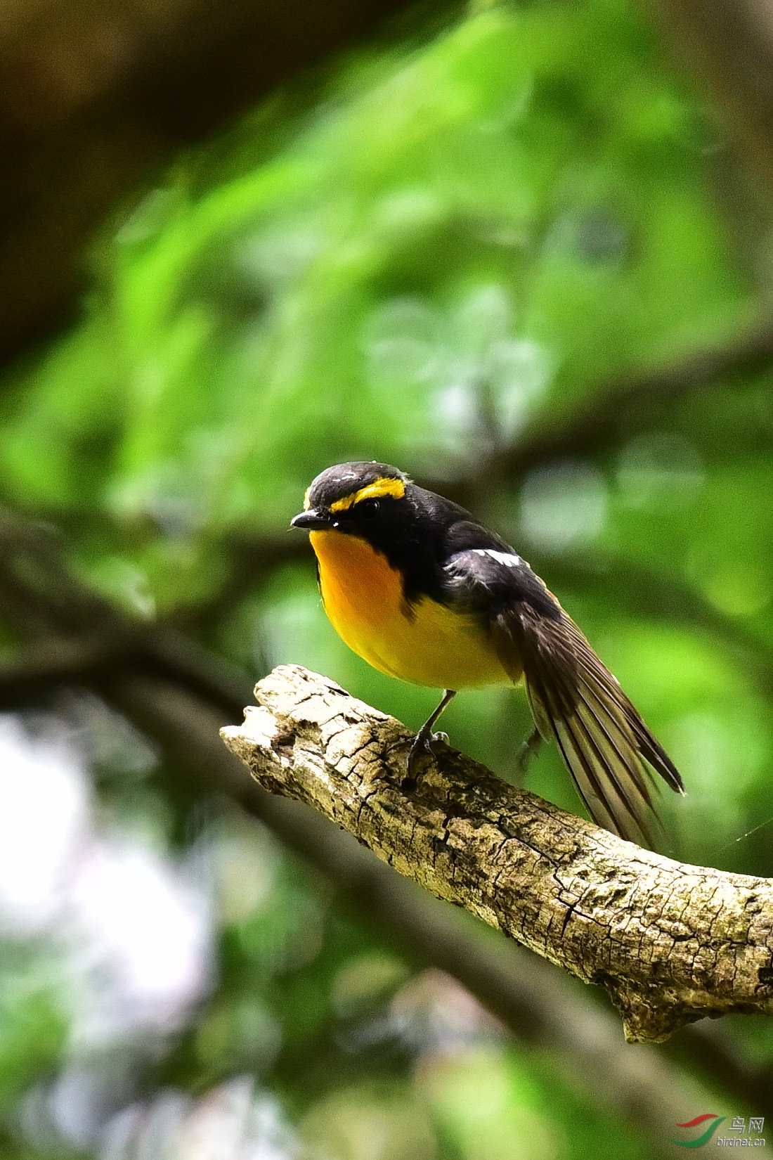 DSC_0794.JPG