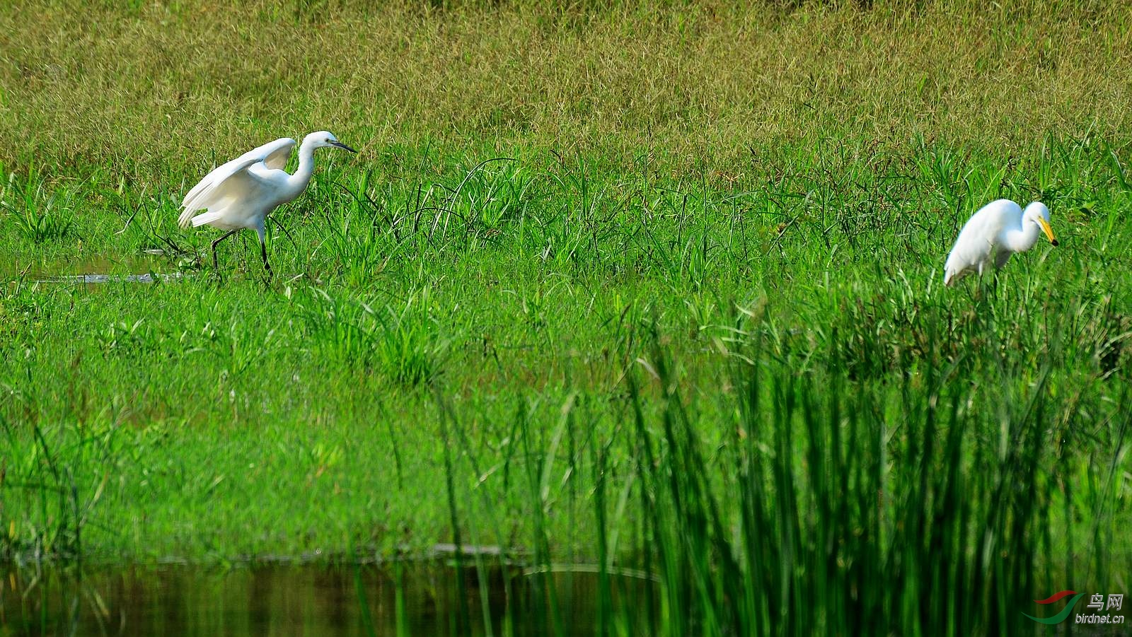 DSC_7142.JPG