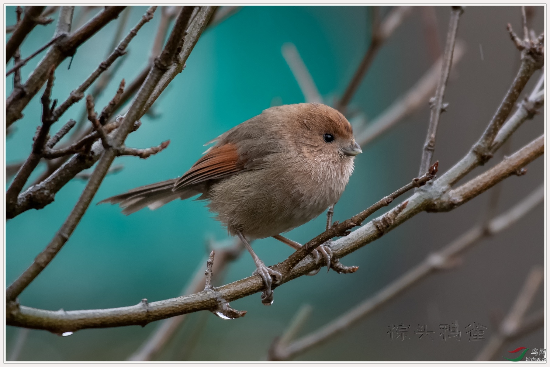 �������û����