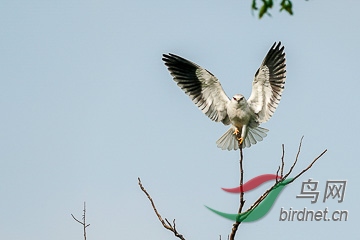 DSC04860 - ����.jpg