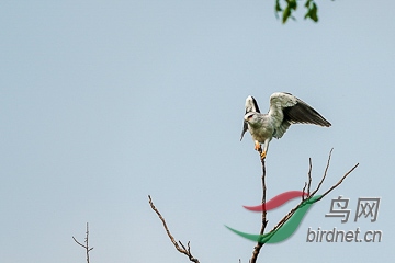 DSC04869 - ����.jpg