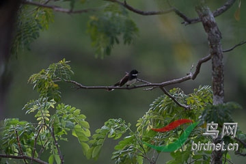 DSC06601.jpg