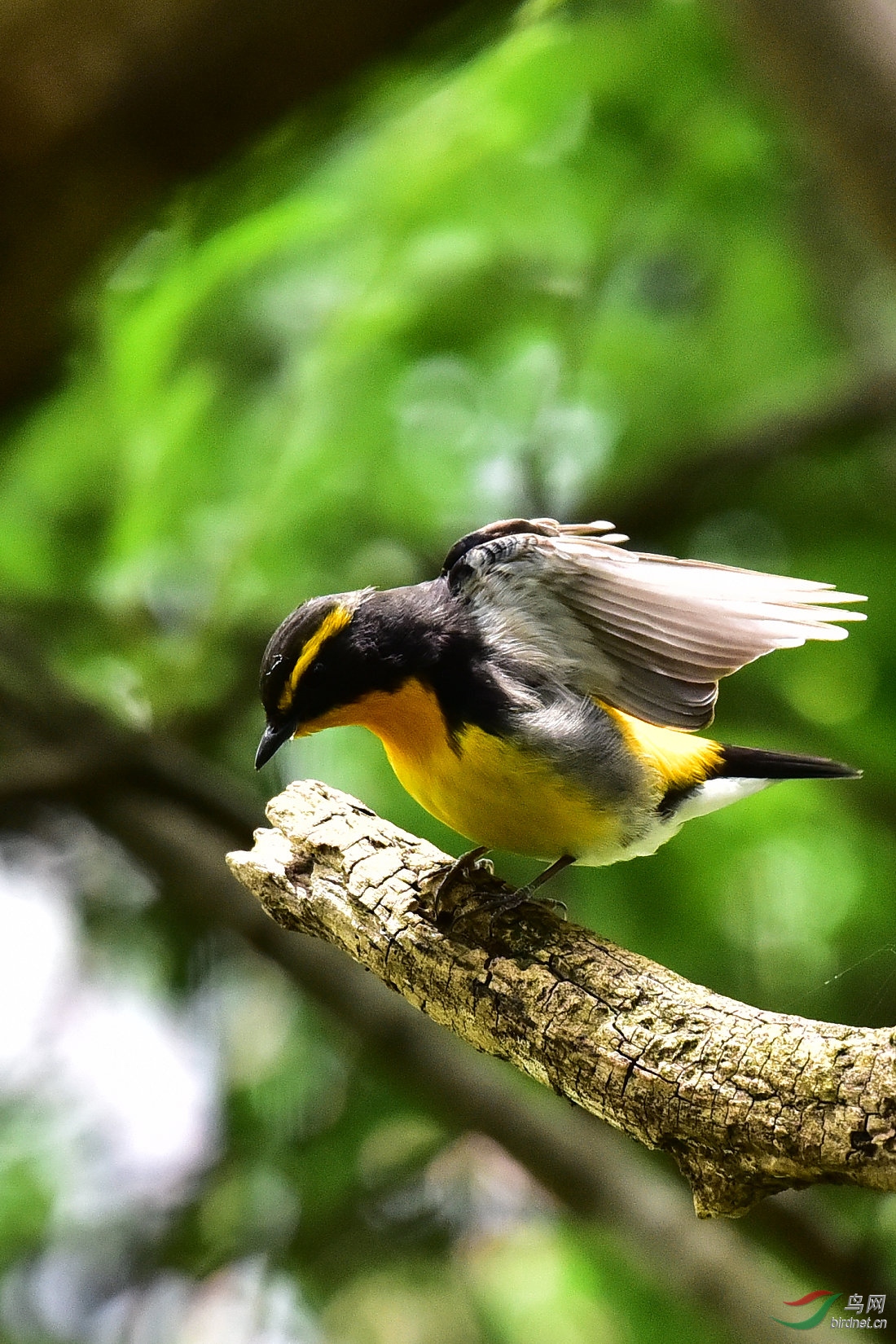 DSC_0799.JPG