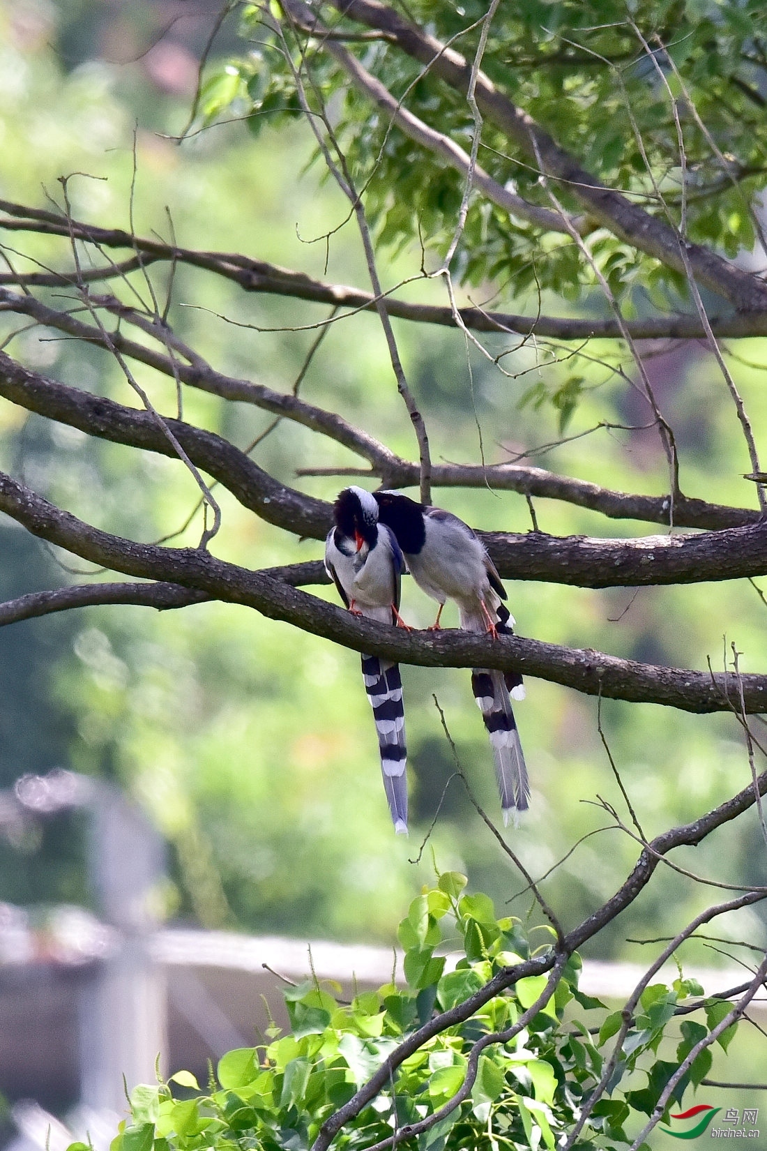 DSC_0033.JPG