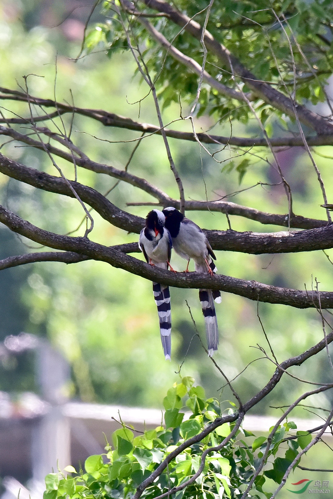 DSC_0035.JPG