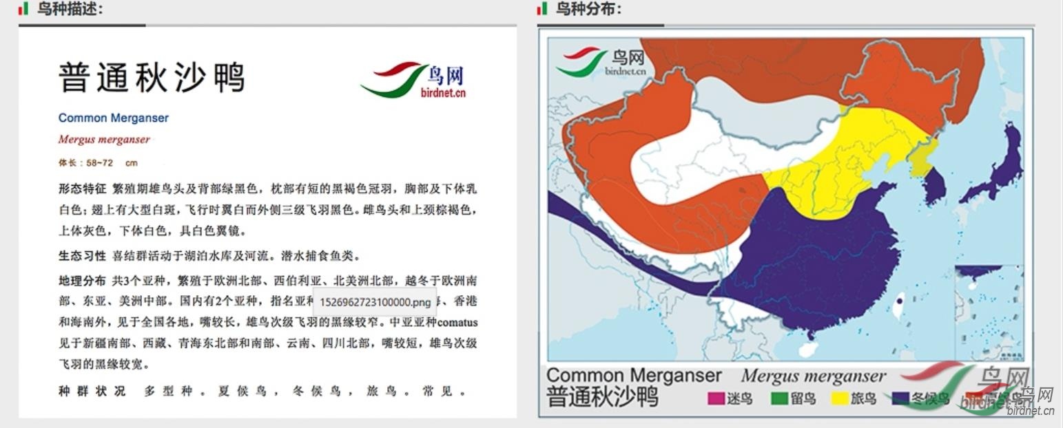 360��ͼ20190819212437221.jpg  ��ɳѼ.jpg