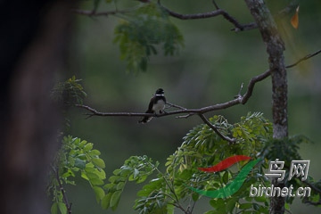 DSC06575.jpg