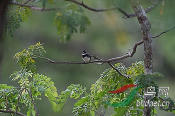DSC06635.jpg