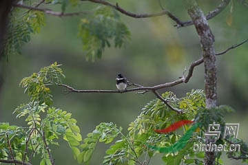 DSC06640.jpg