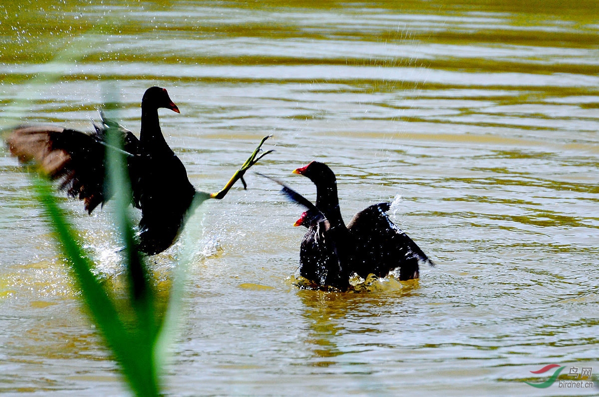 DSC_2820.JPG