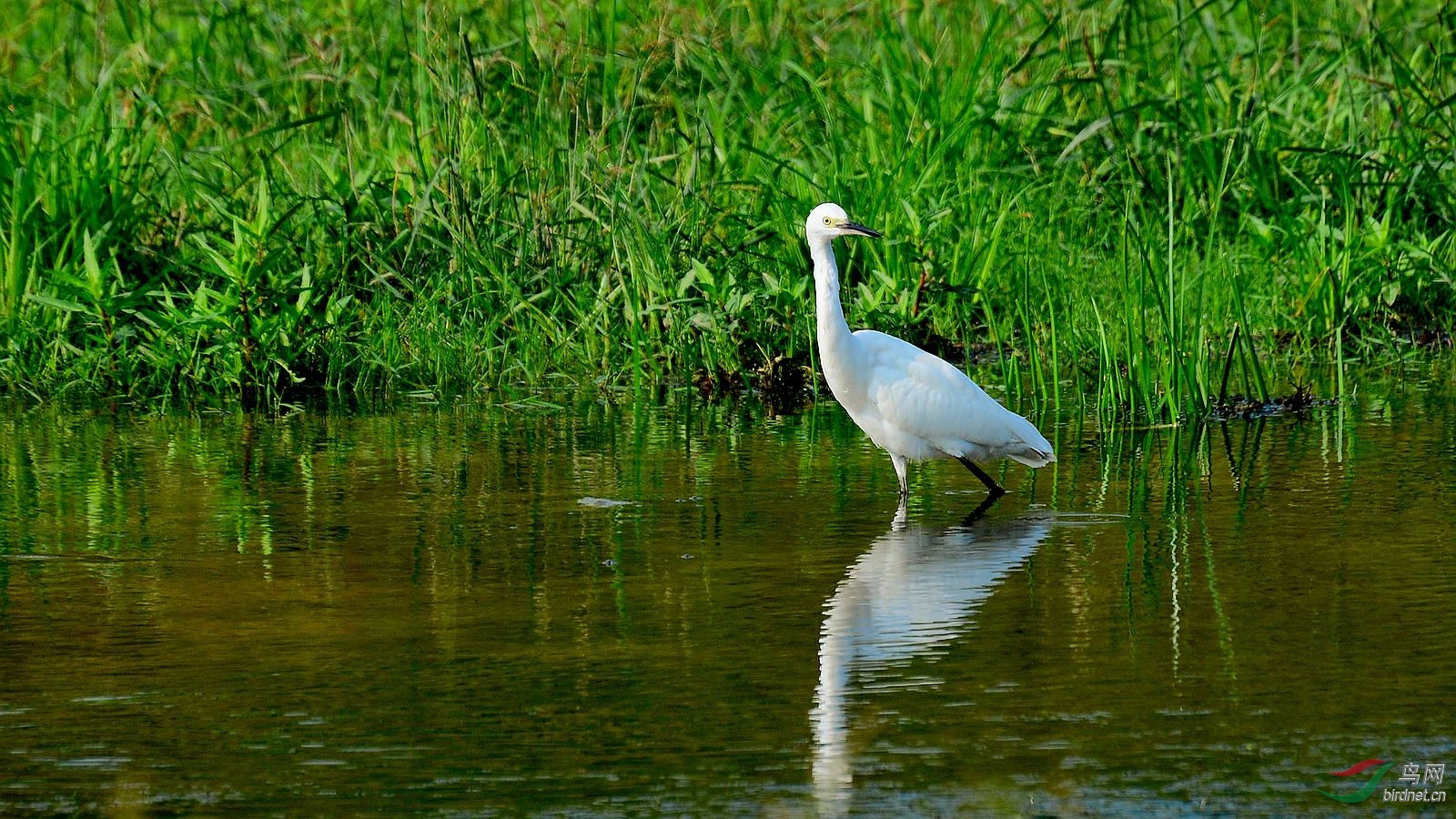 DSC_7157.JPG