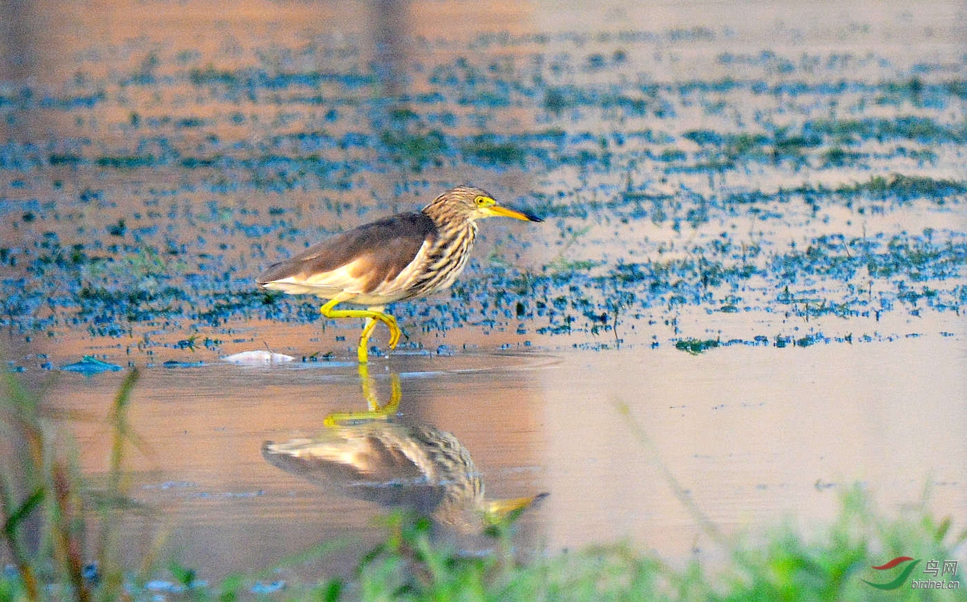 DSC_8060.JPG