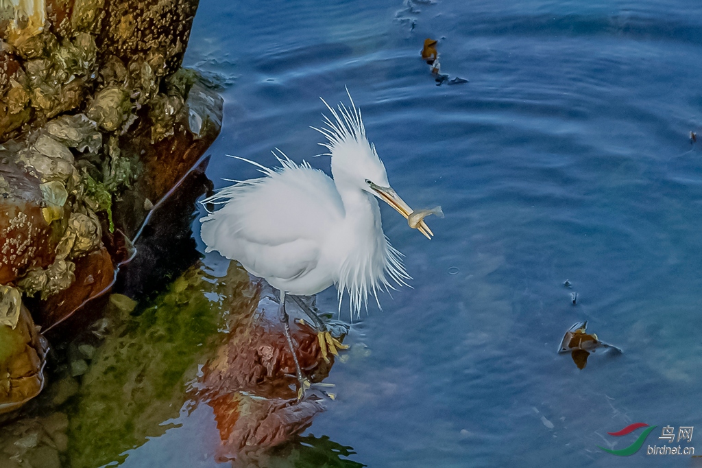 _K8I1469  01_����.jpg