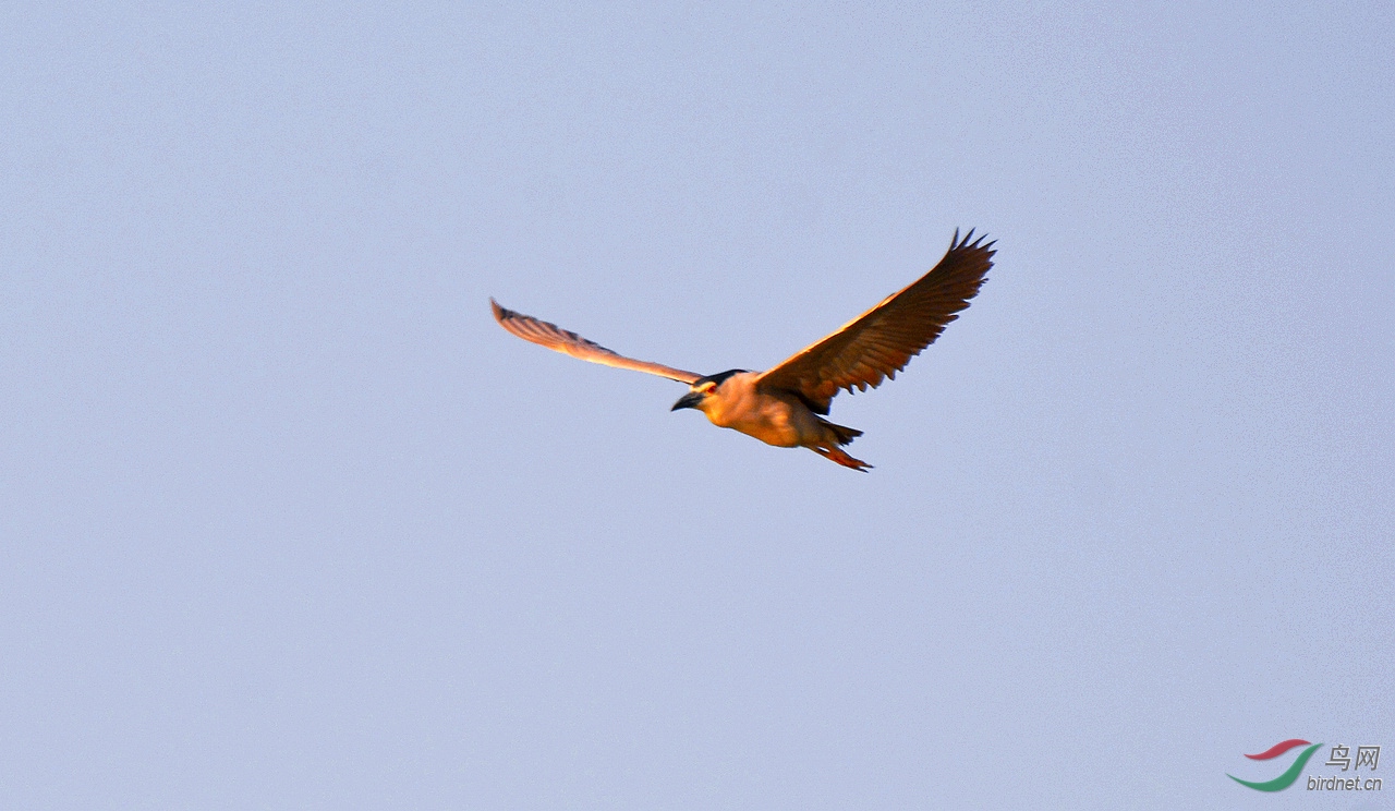 DSC_0797.JPG