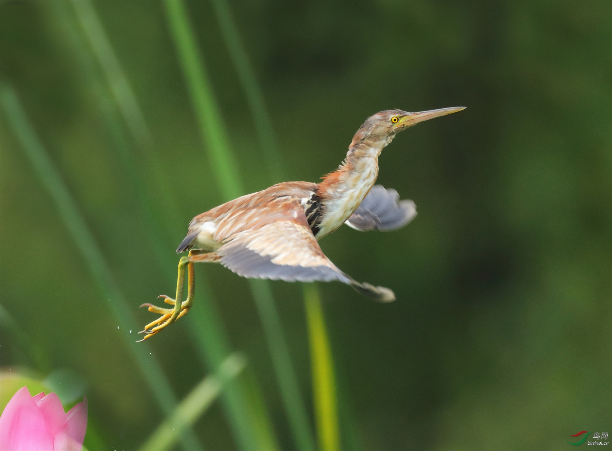 1 - ����.JPG