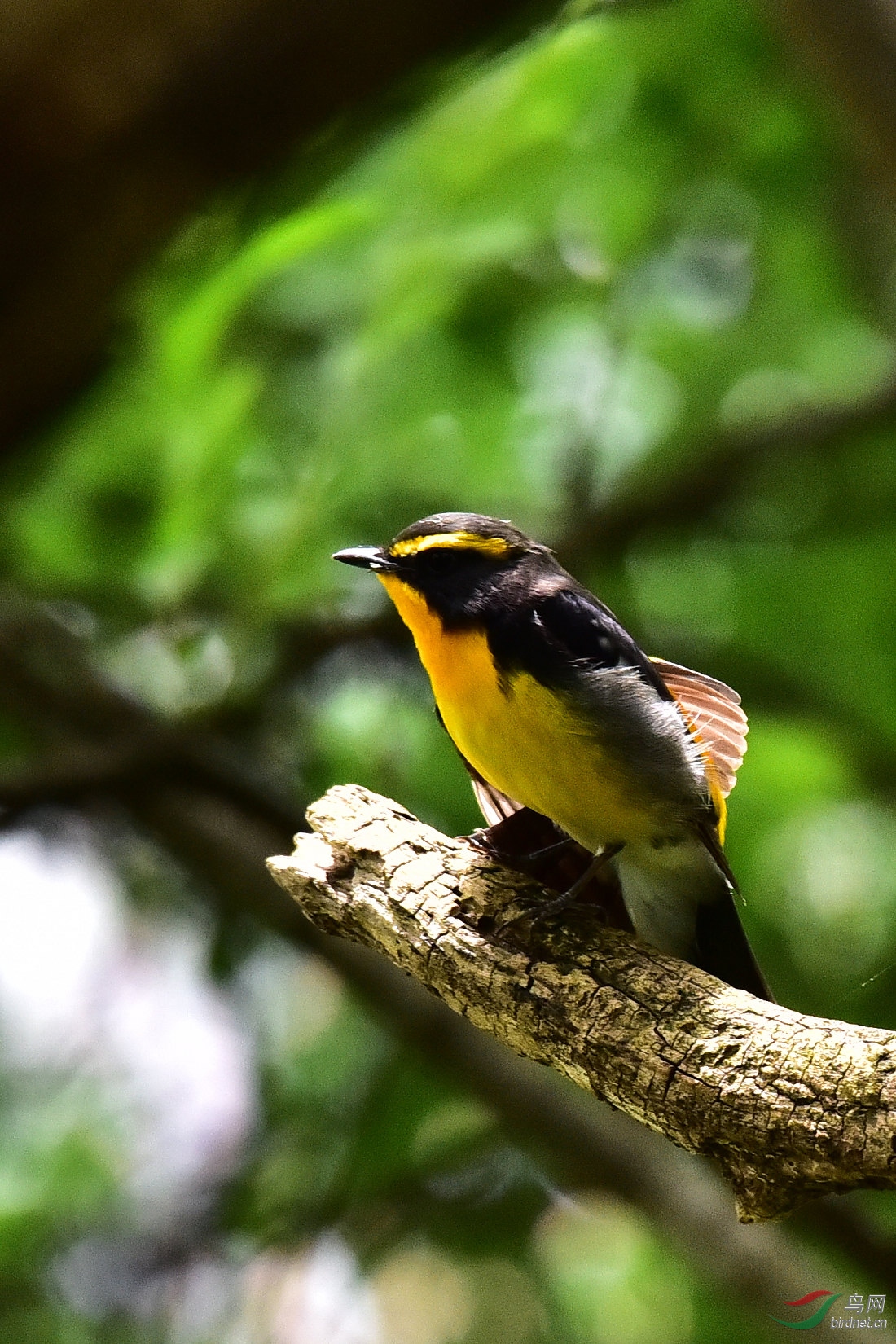 DSC_0812.JPG