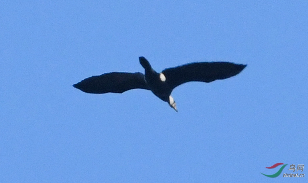 DSC_9157_����.jpg