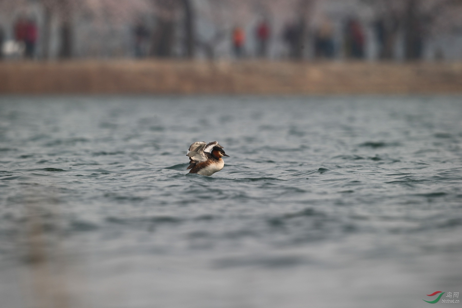 DJ4W3469_����.jpg