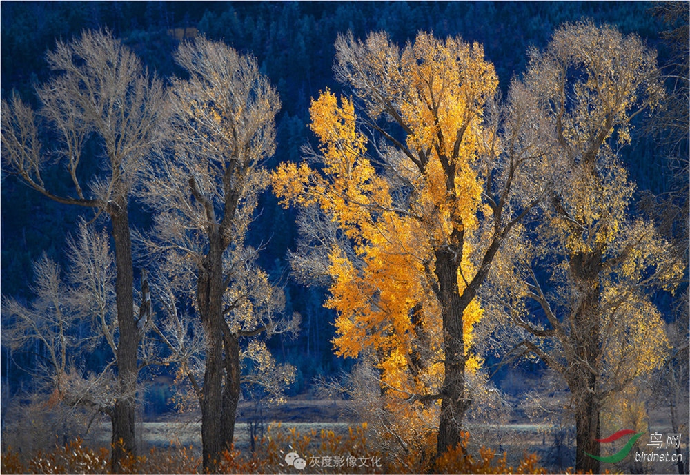 6秋色之二十一   Autumn scenery 21.jpg
