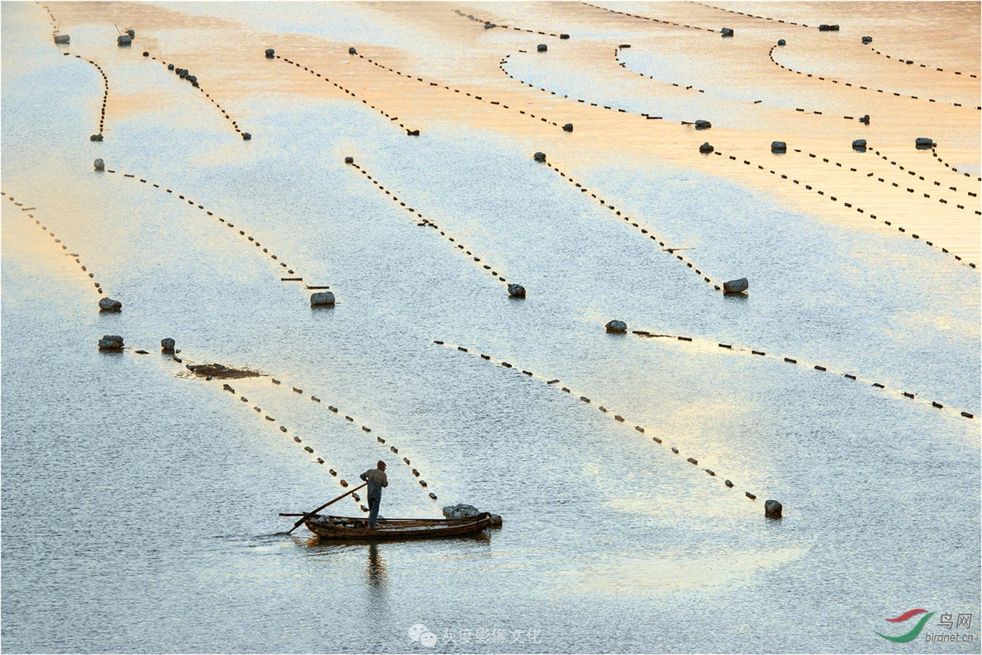8盐田养殖   yiantian marine culture.jpg
