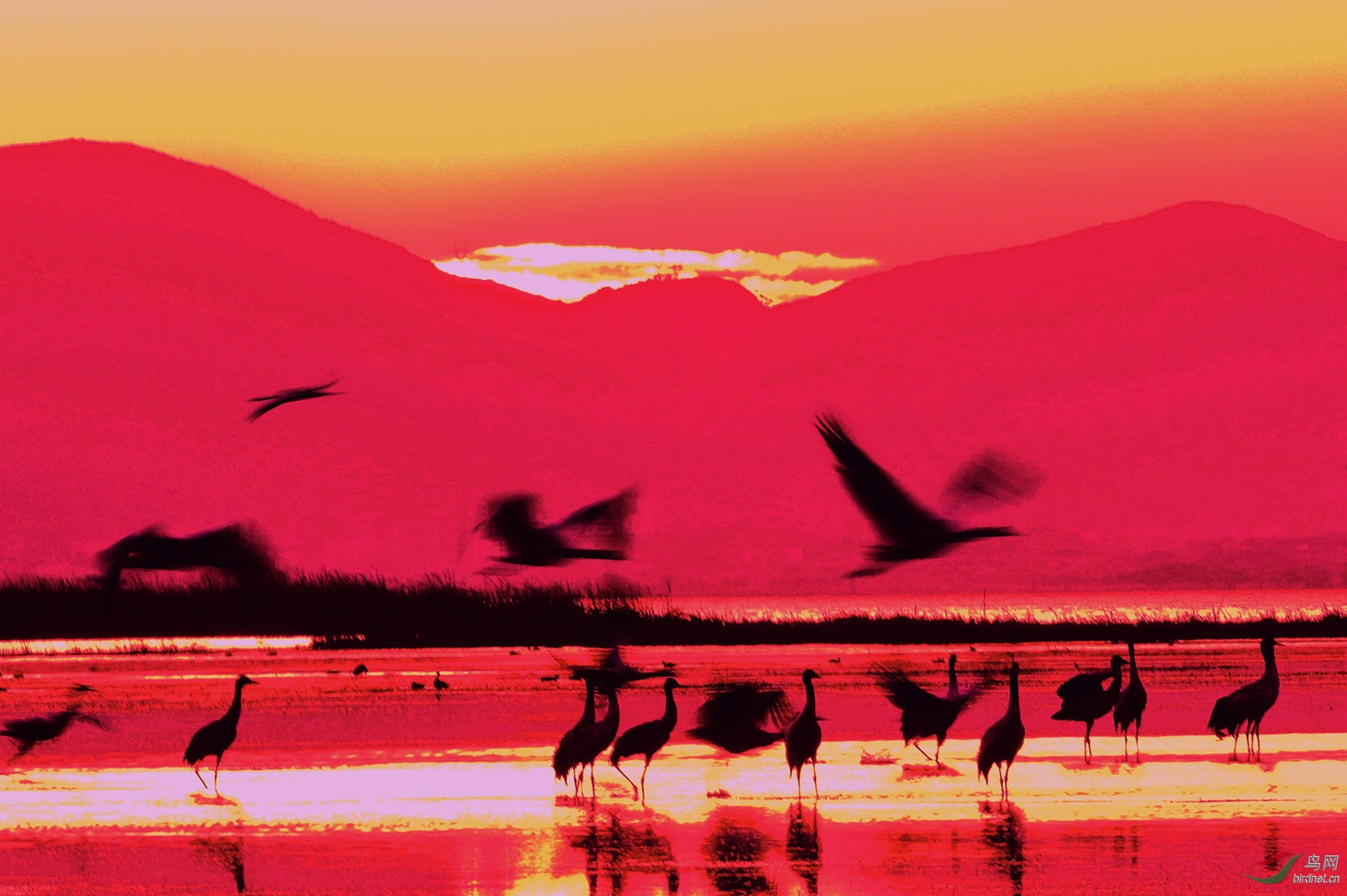 2019.03.03 1704_����.jpg