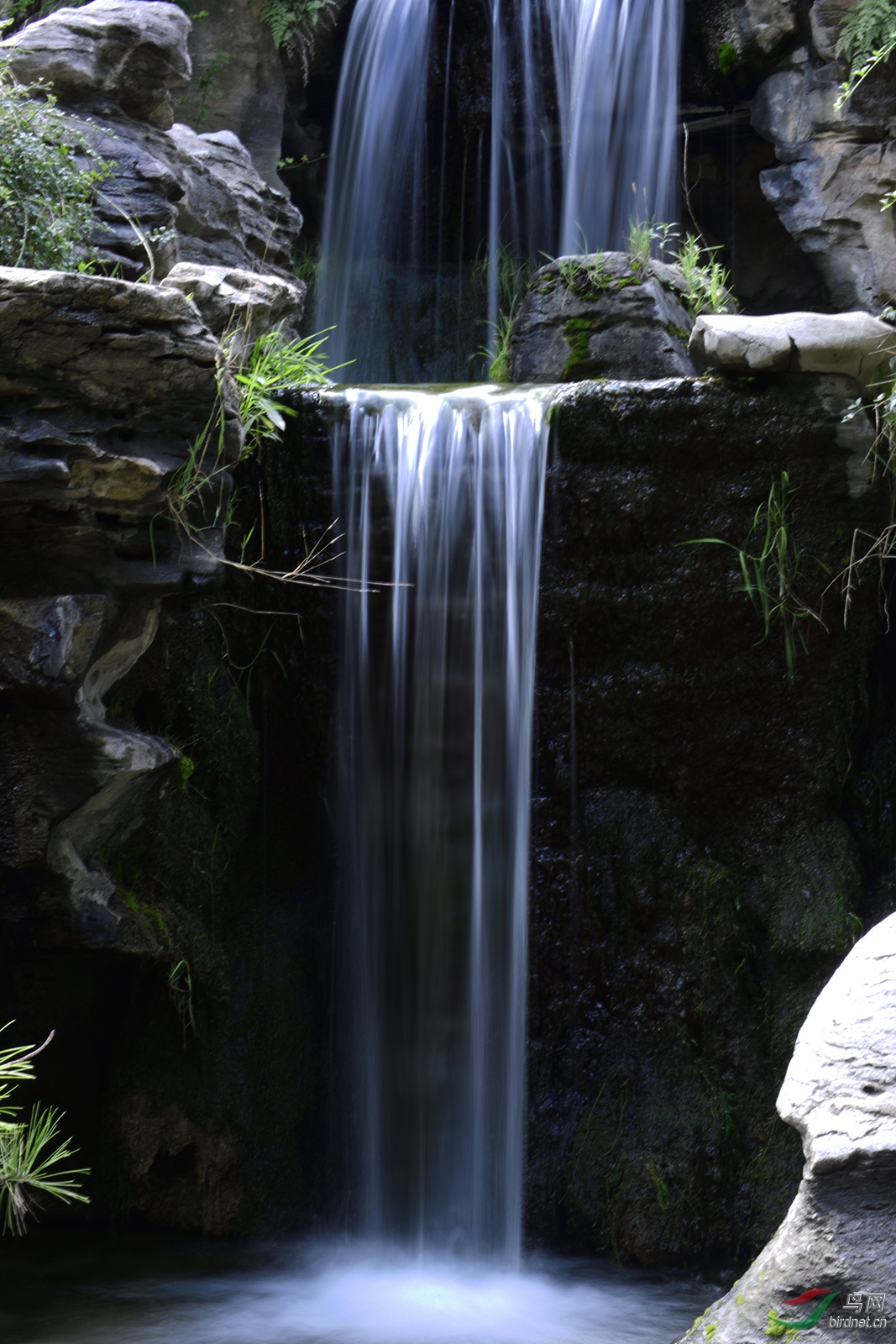 _D5S0019_7950a.jpg