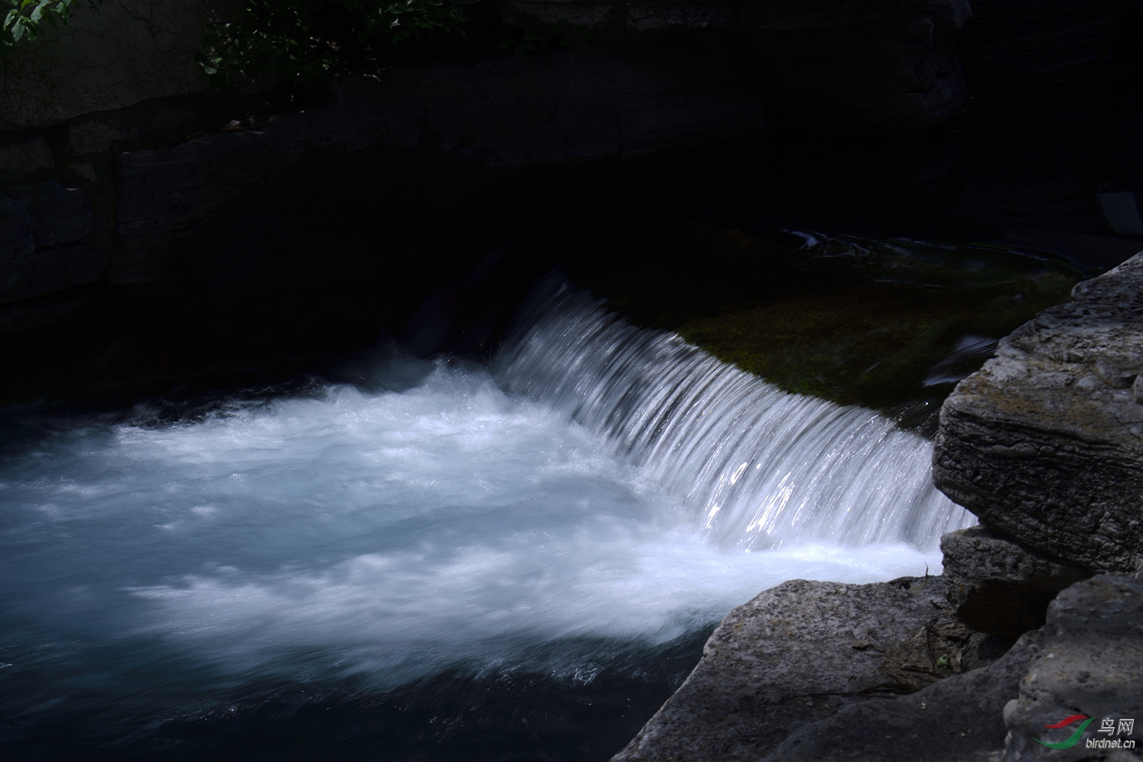 _D5S0030_7955a.jpg