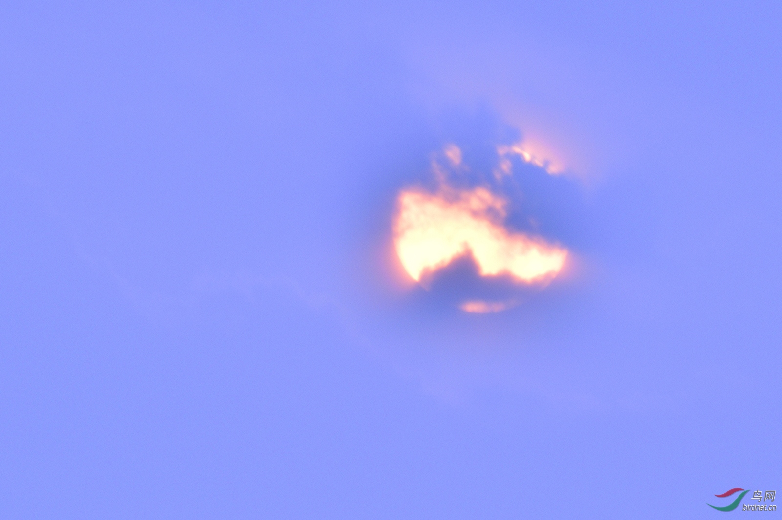_D4S8692_7810a.jpg