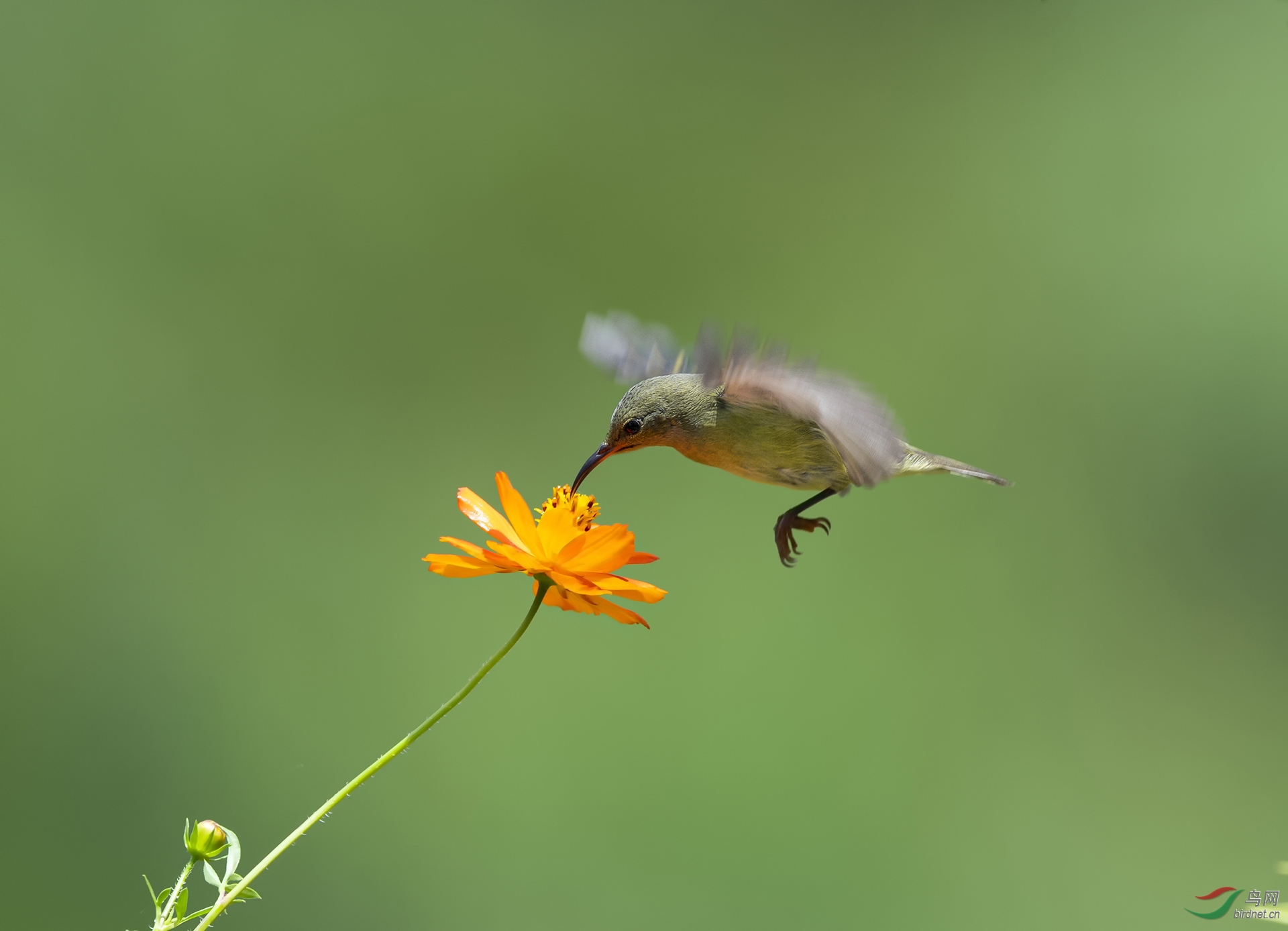 DSC_7094.jpg