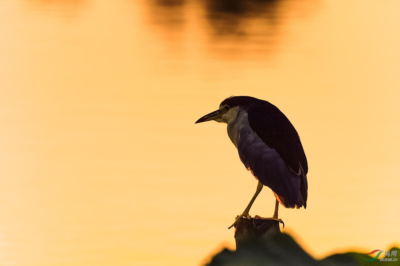 D5S_6347_4991a.jpg
