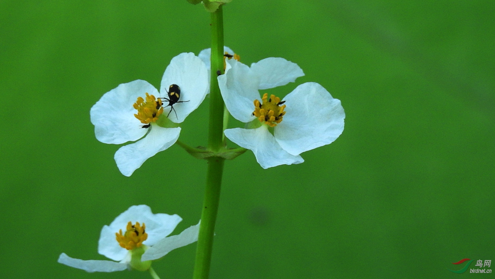 DSCN5763.JPG