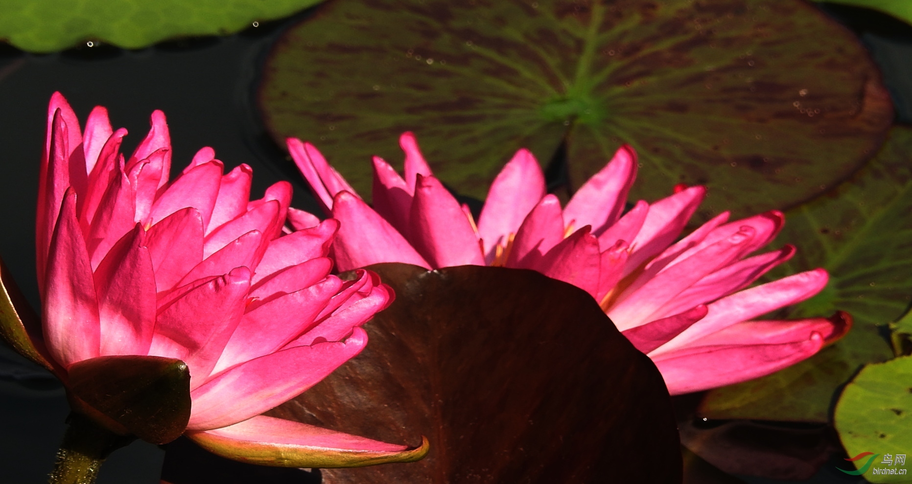 DSCN5603.JPG