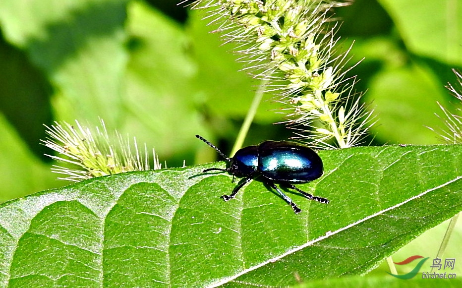 DSCN5953.JPG