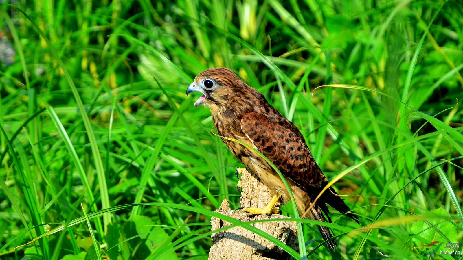 DSC_4054.JPG