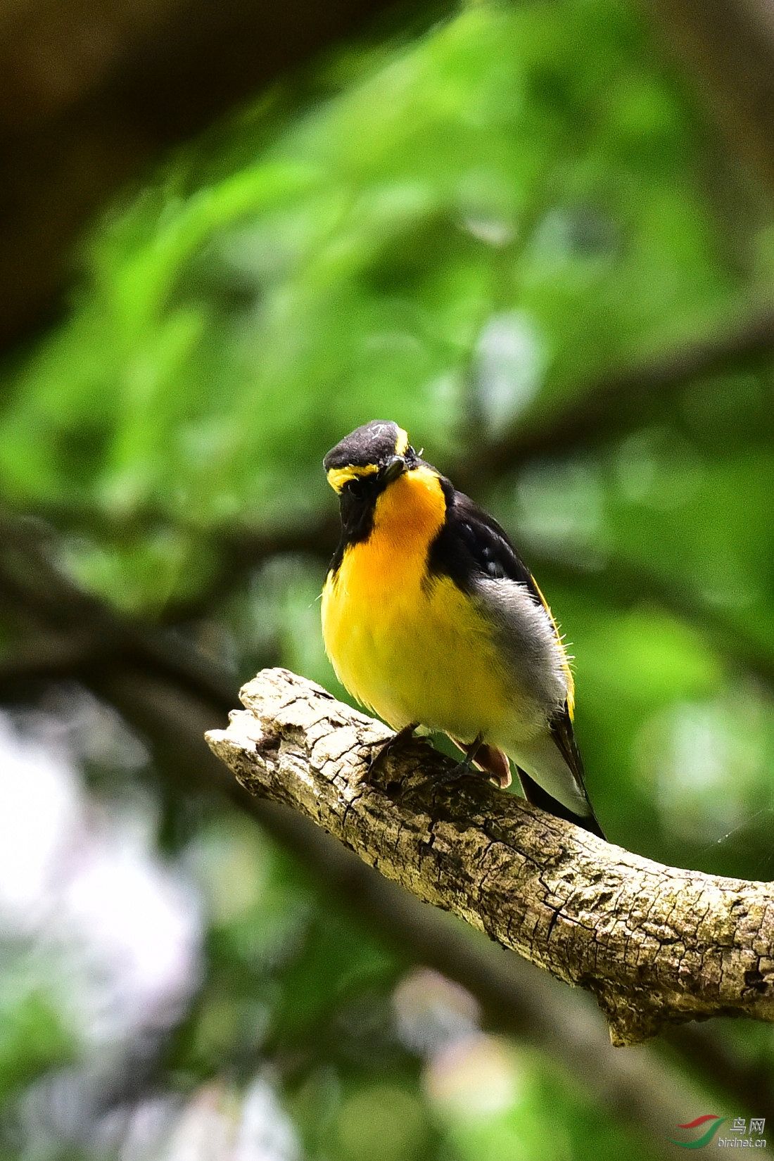 DSC_0815.JPG