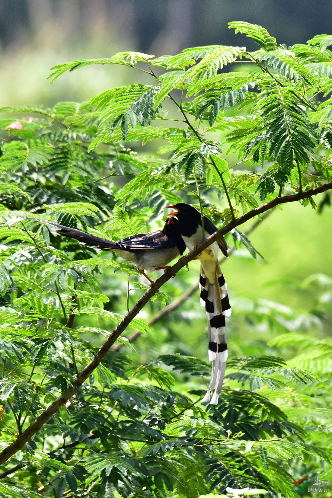 DSC_0053.JPG