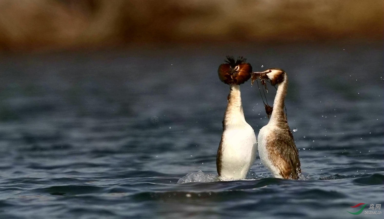 DJ4W3112�� ����02.jpg