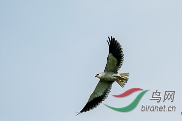 DSC04329 - ����.jpg