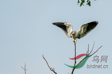 DSC04865 - ����.jpg