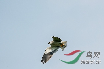 DSC04330 - ����.jpg